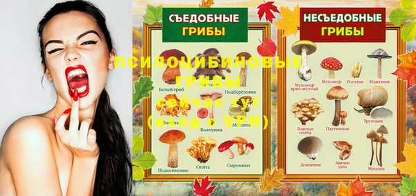 мдма Зеленодольск